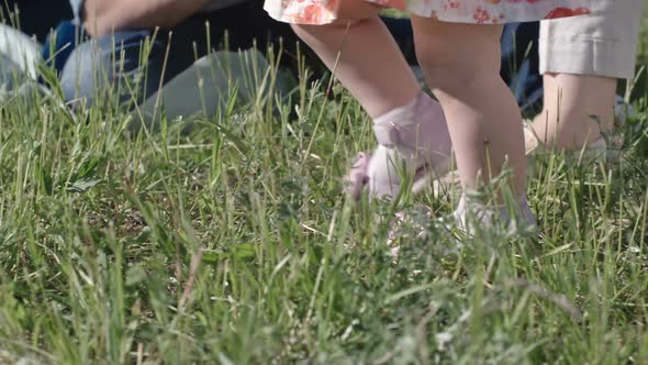 First Steps of Toddler Girl alt