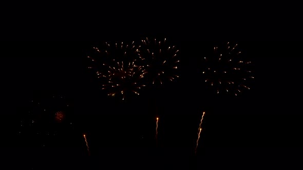 Many flashing colourful fireworks in event amazing with black background.