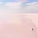 Aerial View Girl Walks On Pinkish Salt Lake - VideoHive Item for Sale