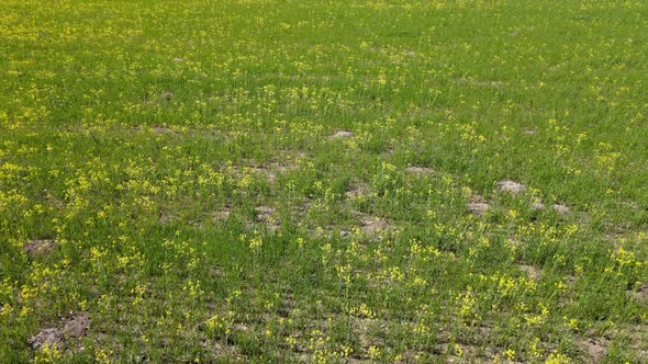 aerial landscape nature spring