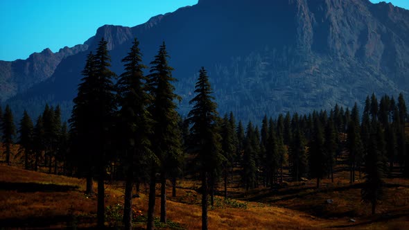 Landscape View of the Mountain Range with Trees in the Fall