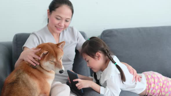 Asian mother and daughter sit on sofa with playing tablet and enjoy with dog in living room