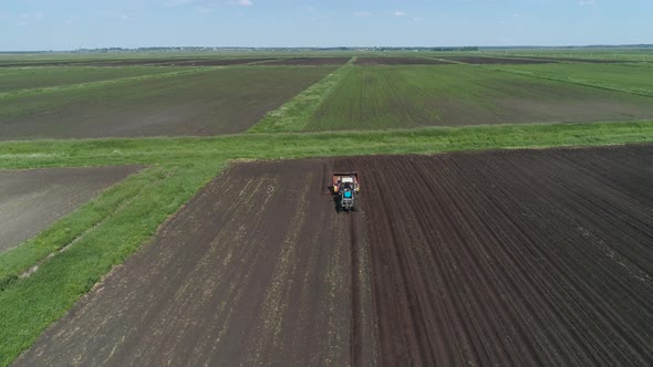 Harvesting Potatoes on the Field