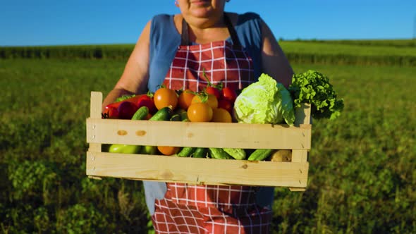 Farmer with a Vegetable Box