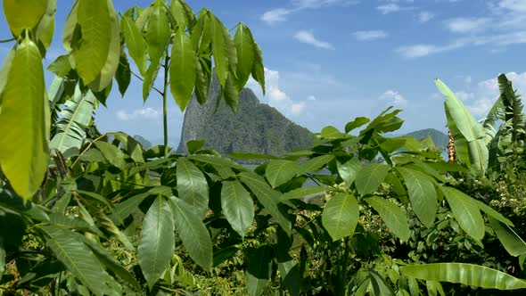 Phang Nga National Park in Thailand. Gimbal Shot, 