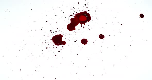 Blood Dripping against White Background, Slow Motion 4K