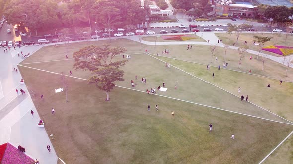 City park landscape flight with kites