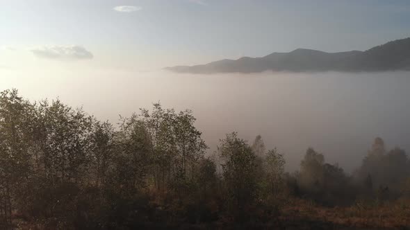 Aerial Top Drone View Above the Clouds and Sky in Wonderful Morning Sunrise Time