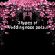 Wedding Rose Petals - VideoHive Item for Sale
