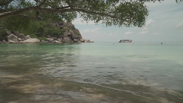 Pano Tropical Beach