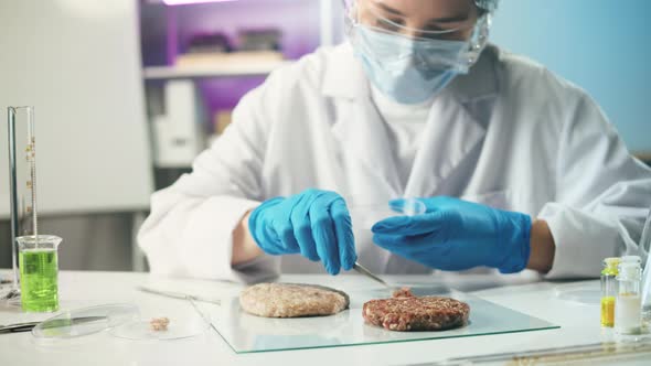 Medical Scientist Inspecting Minced Vegan Meat Wearing Protective Unform Working in Laboratory