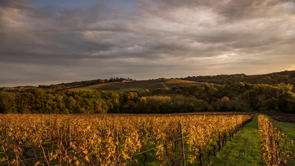 Forward and reverse fast timelapse of the sun with cloudsBordeaux vineyard in autumn under sunset