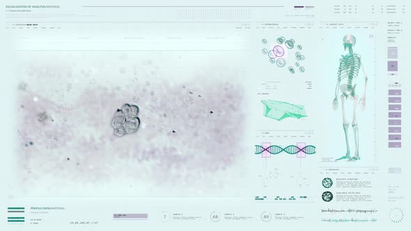 Microscopic Cells Division Examination By Scientific Study Of Human Organism alt