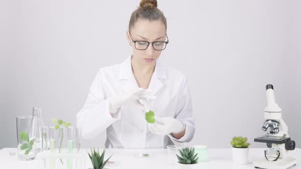 Research Student Works in Plant Science Laboratory with White Background
