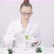 Research Student Works in Plant Science Laboratory with White Background - VideoHive Item for Sale