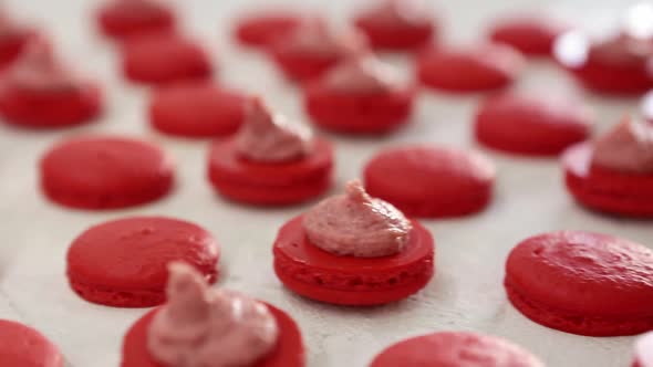 Closeup View of Many Rows of Red Opened Halves with Filling Macarons Macaroon on White Background