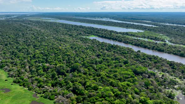 Amazon River at Amazon Rainforest. The famous tropical forest of world. Manaus Brazil. Amazonian eco