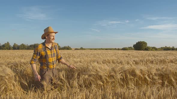 Caucasian Conceptual Man Farmer Agronomist in a Hat Goes and Looking to a Wheat Field