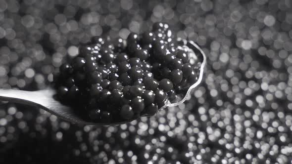 Black Caviar in a Spoon on a Background of a Rotating Background