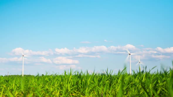 Wind turbines and green plants