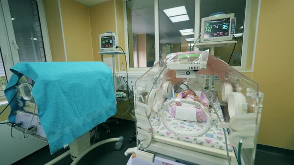 Medical Incubators with Infants and Necessary Equipment