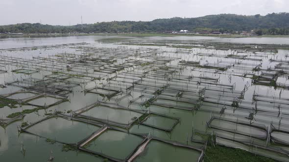 Aerial view of traditional floating fish pond on swamp in Indonesia