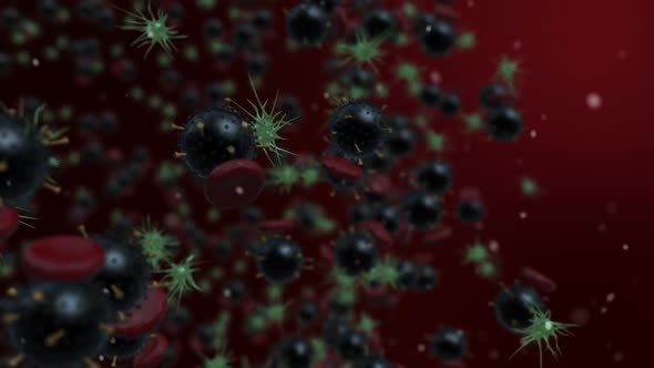 Viruses Spread Inside The Body Loop alt