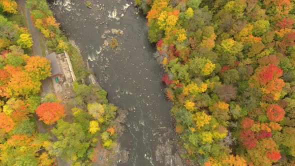 Vertical overhead view of fall river with colored leaf trees