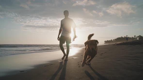 Guy Walking Dog on Sandy Beach