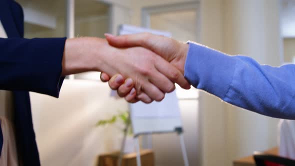 Close-up of female business executives shaking hands