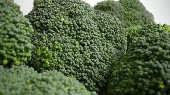 Fresh Green Broccoli 18