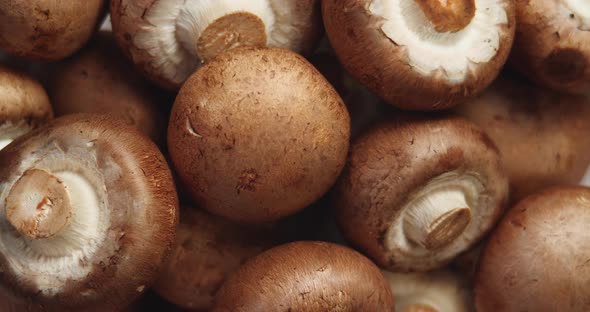 Top View Of Uncooked Fresh Raw Royal Champignon Mushrooms Rotating Close Up