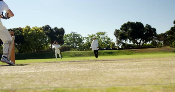 Cricket player standing together during cricket match