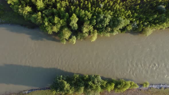 forest aerial view