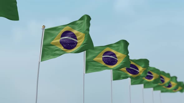 Brazil  Row Of Flags 