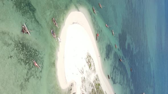 Zanzibar Tanzania  Vertical Video of the Ocean Near the Coast Slow Motion