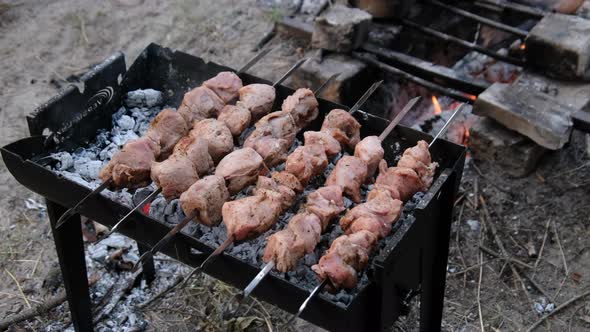 Kebabs on Skewers are Cooked on the Grill Outdoor Shashlik on a Barbecue