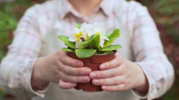 Young Woman Holds Out Pots of Flowers