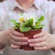 Young Woman Holds Out Pots of Flowers - VideoHive Item for Sale