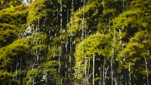 Natural Spring Waterfall Nature Scenery Background