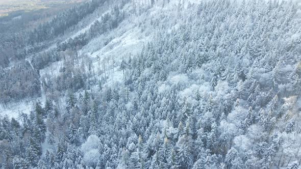 Aerial View of Mountains Covered with Snowy Forest