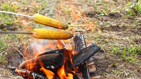 a Man Holds Two Ears of Ripe Yellow Corn Above the Fire