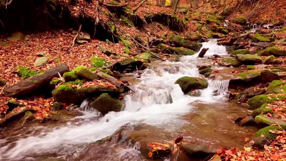 Footage of Wonderful Mountain Stream in the Shypit Karpat National Park