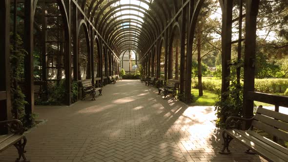 Tunnel Archway in a Park