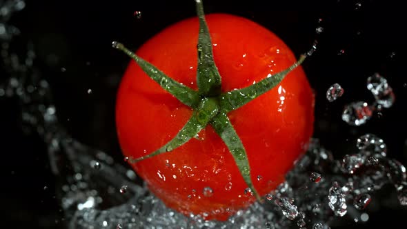 Super Slow Motion Shot of Rotating Whole Tomato and Splashing Water Isolated on Black at 1000Fps