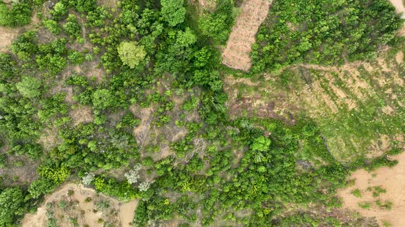 Farm Landscapes Background Texture 4 K Aerial View