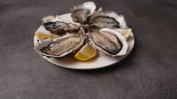 Fresh Oysters 19