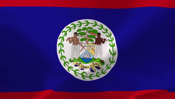 Belize Waving Flag 4K Moving Wallpaper Background