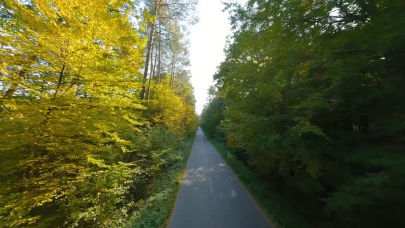 Smooth Flight Close to Branches of Trees Along the Road