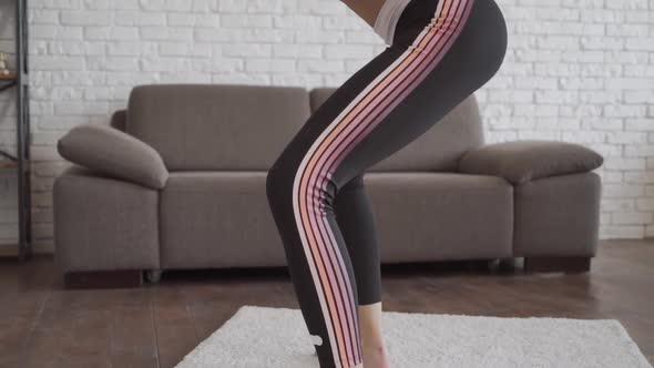 Healthy Lifestyle. Pleasant Athletic Woman Doing Squats in Her Living Room While Wearing Sportswear
